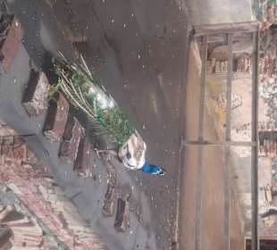 Der König ist schon da...