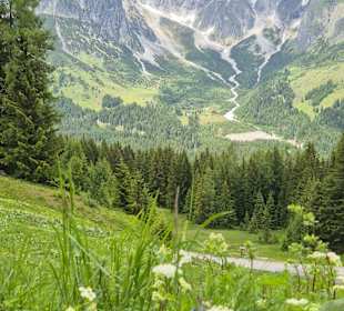 Ausblick