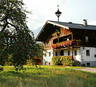 Wandern Reith im Alpbachtal