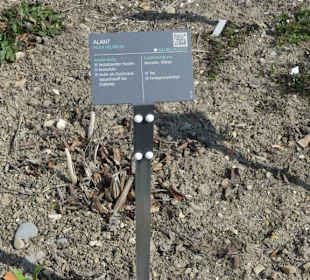 Erläuterungen der Kräuter