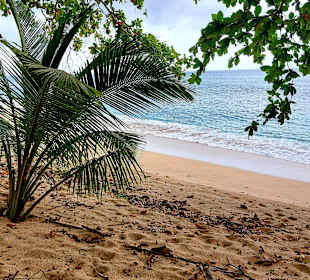 Strände Principe Praia Banana