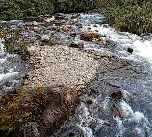Rundweg „La Isla“ Path