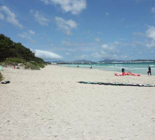 Strand Playa de Alcudia