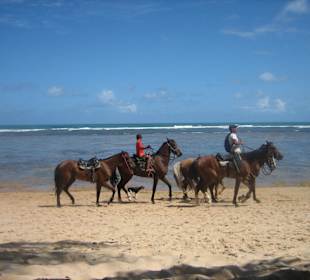 Reitangebot am Strand