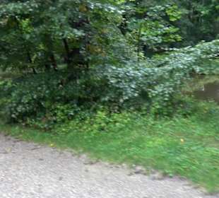 Amalienburg
