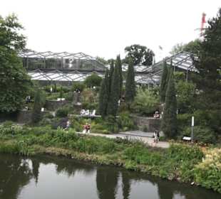 Mittelmeerterrassen - Alter Botaischer Garten