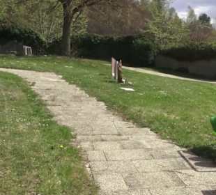 Friedhof Buttenhausen