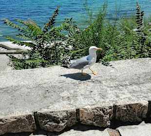 Nessebar Umgebung