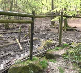 Walderlebnisweg Rottenburg