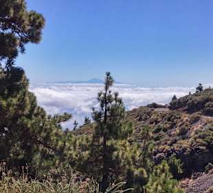 Blick auf Teneriffa