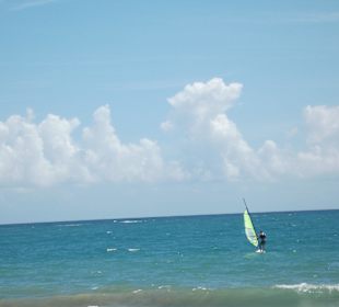 Surfer