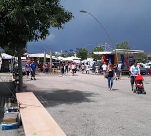 Markttag am Dienstag 7-12 Uhr