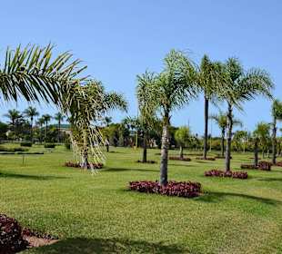 Ogrody przed Pałacem Królewskim