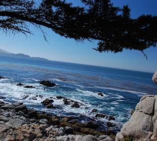 17 Miles Drive im Oktober