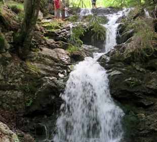 Der Wildbach stürzt nach unten