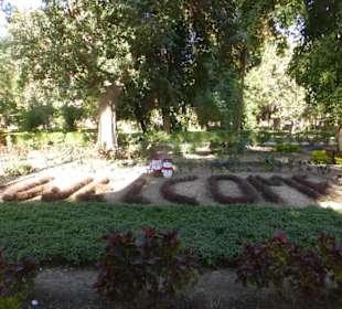 Kleine Nilbootsfahrt - Assuan Botanischer Garten 