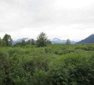 Auf den Weg zu den Gletschern