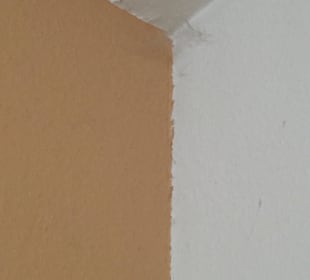 Spinnennetz in der Ecke Hotel Am Friedrichsbad