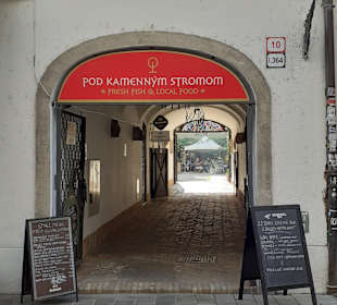 Pod Kamennym Stromom