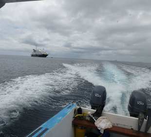 Mit voll Power zurück