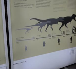 Dinosaurier Museum Altmühltal