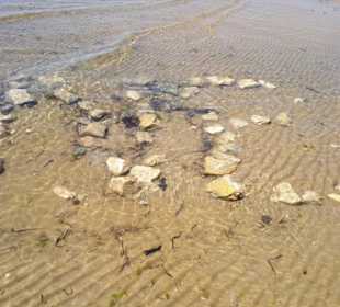 Strand in Bibione Juni 2012