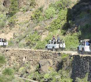"Gratismassage" über Stock und Stein