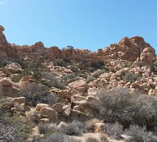 Joshua Tree National Park
