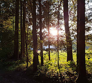 Wandern Rabenstein-Bodenmais