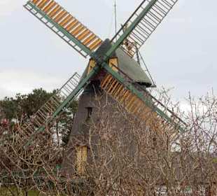Amrumer Windmühle & Heimatmuseum