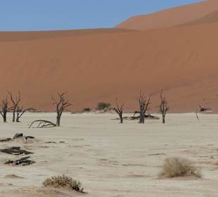 Dead Vlei