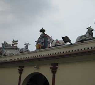 Figuren auf dem Dach