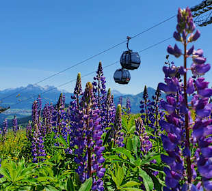 Wandern Ellmau am Wilden Kaiser
