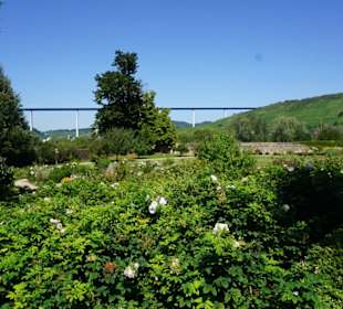 Moseltal mit neuer Moselbrücke