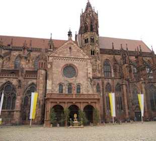 Freiburger Münster