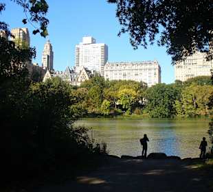 Im Central Park