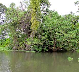 Bootsfahrt auf dem grossen See