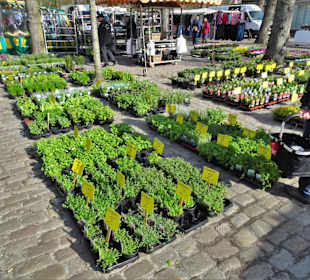 Rundgang über den Wochenmarkt Norden