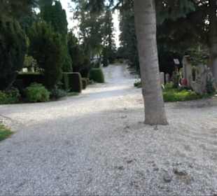 Haupt- und Waldfriedhof