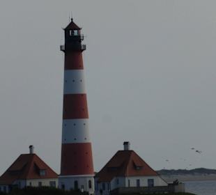 Eiderstedtrundfahrt: Leuchtturm Westerhever