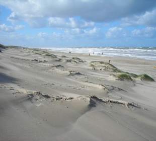 Strand auf Texel