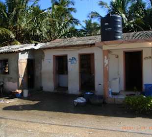 Halbinsel Samana Tour 