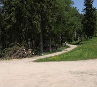 Wandergebiet Ruhestein