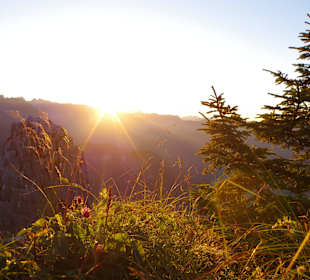 Sonnenuntergang auf dem Jenner