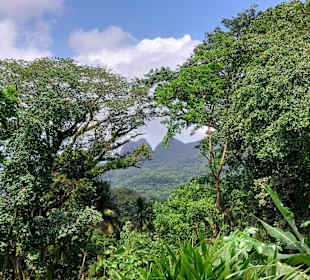 Parque Natural Obô do Príncipe