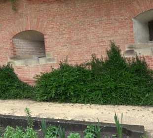 Bastion 5 mit dem Kriegsspital