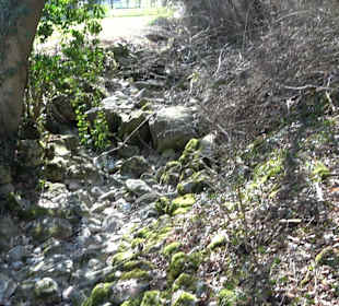 Steinwiese an der Donau