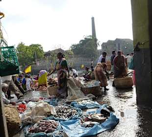 Fischmarkt in Mumbai