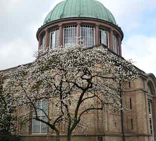 Staatlichen Kunsthalle: die Orangerie