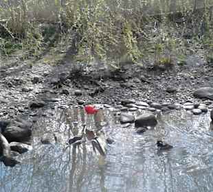 Tierpark Hellabrunn in München